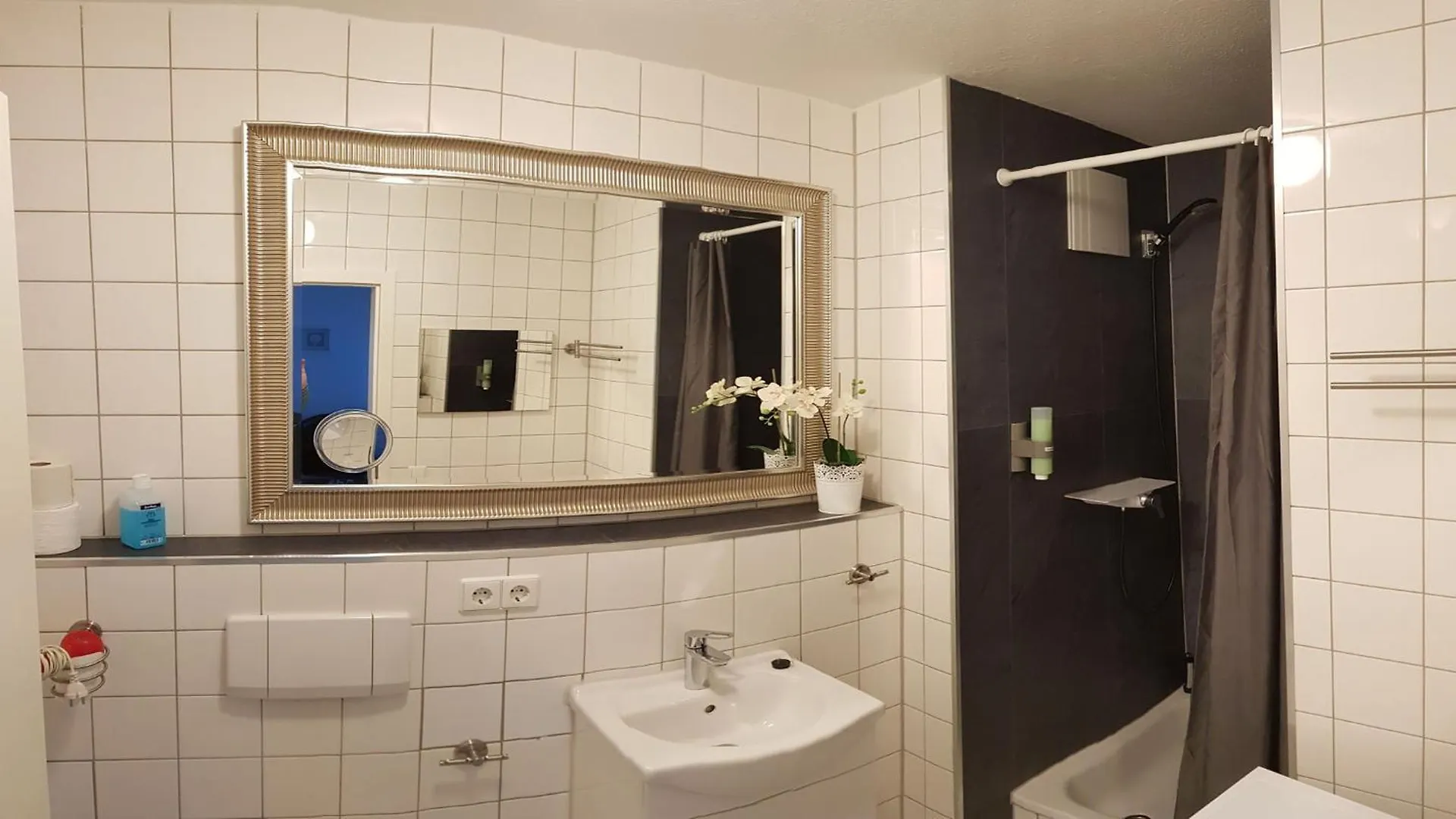 Apartment Fewo 2,4,5,6 Altstadt - Am Grossen Garten Dresden