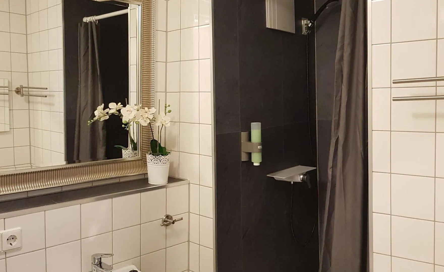 Apartment FeWo 2,4,5,6 Altstadt - Am grossen Garten Dresden
